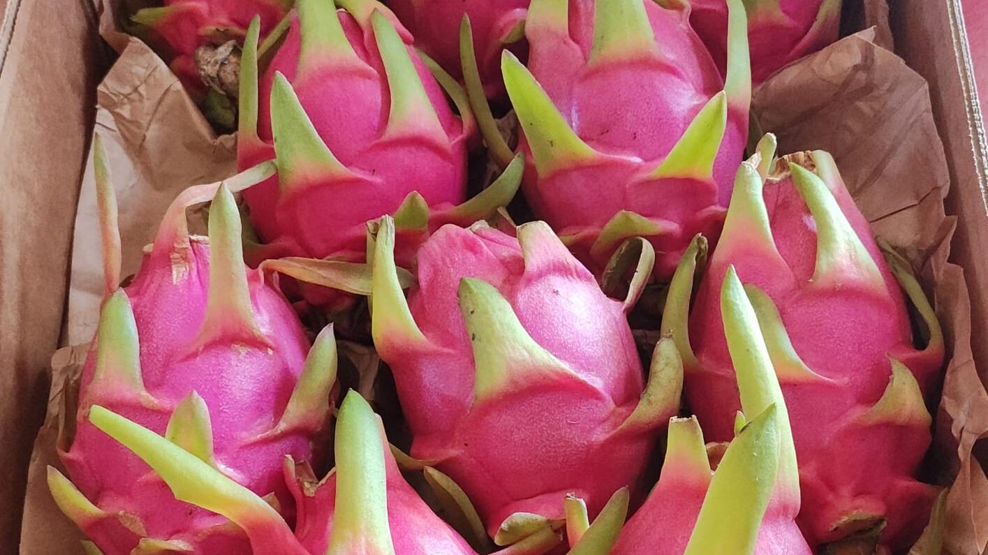 Imagen de WhatsApp 2025-10-24 a las 15.05.23_5b706970