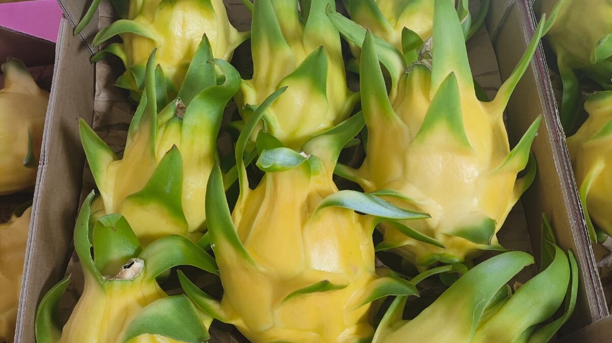 Imagen de WhatsApp 2025-10-24 a las 15.05.42_fe3928ed