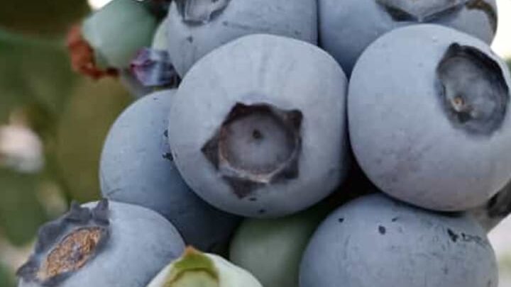 WhatsApp Image 2025-11-28 at 12.40.43 (1)