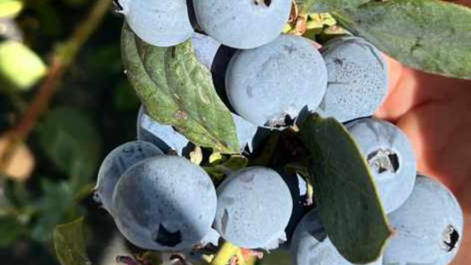 WhatsApp Image 2025-11-28 at 12.40.43