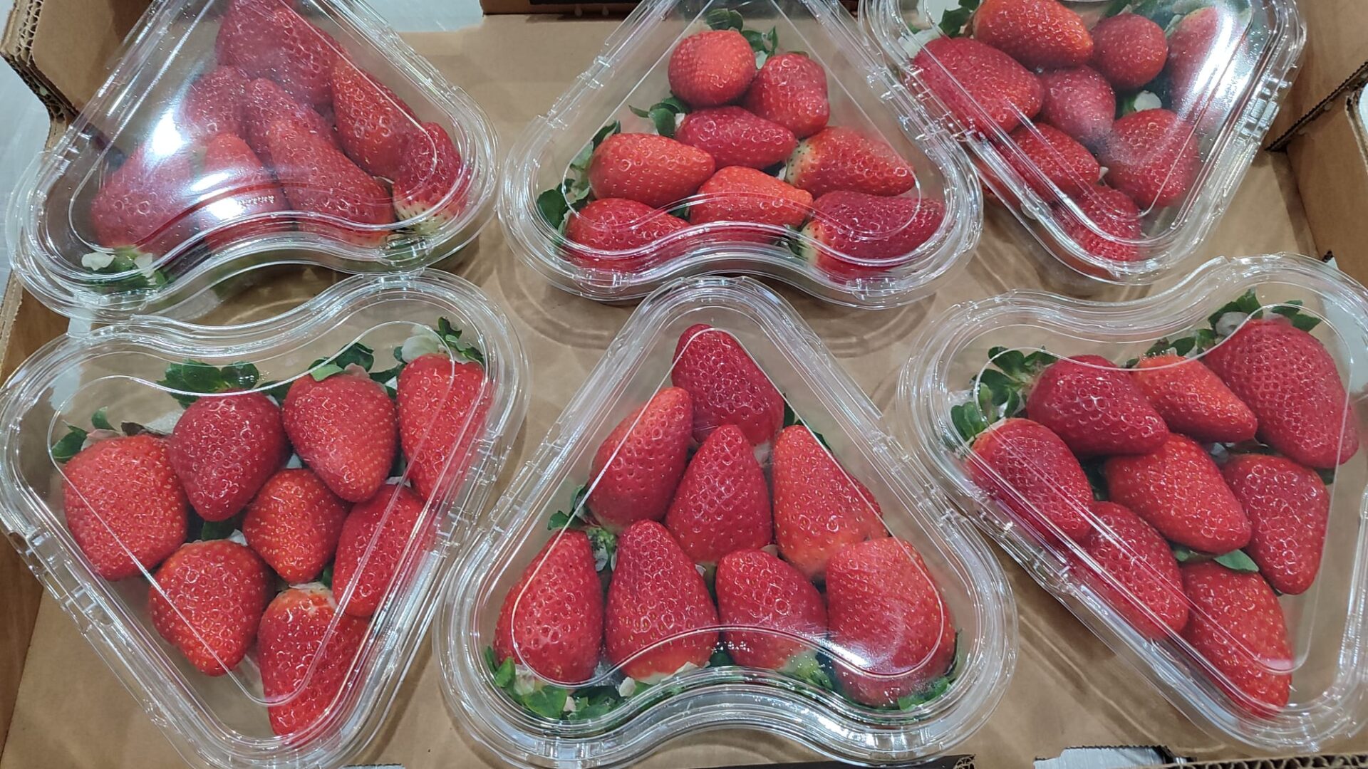 WhatsApp Image 2025-11-28 at 12.40.44 (1)