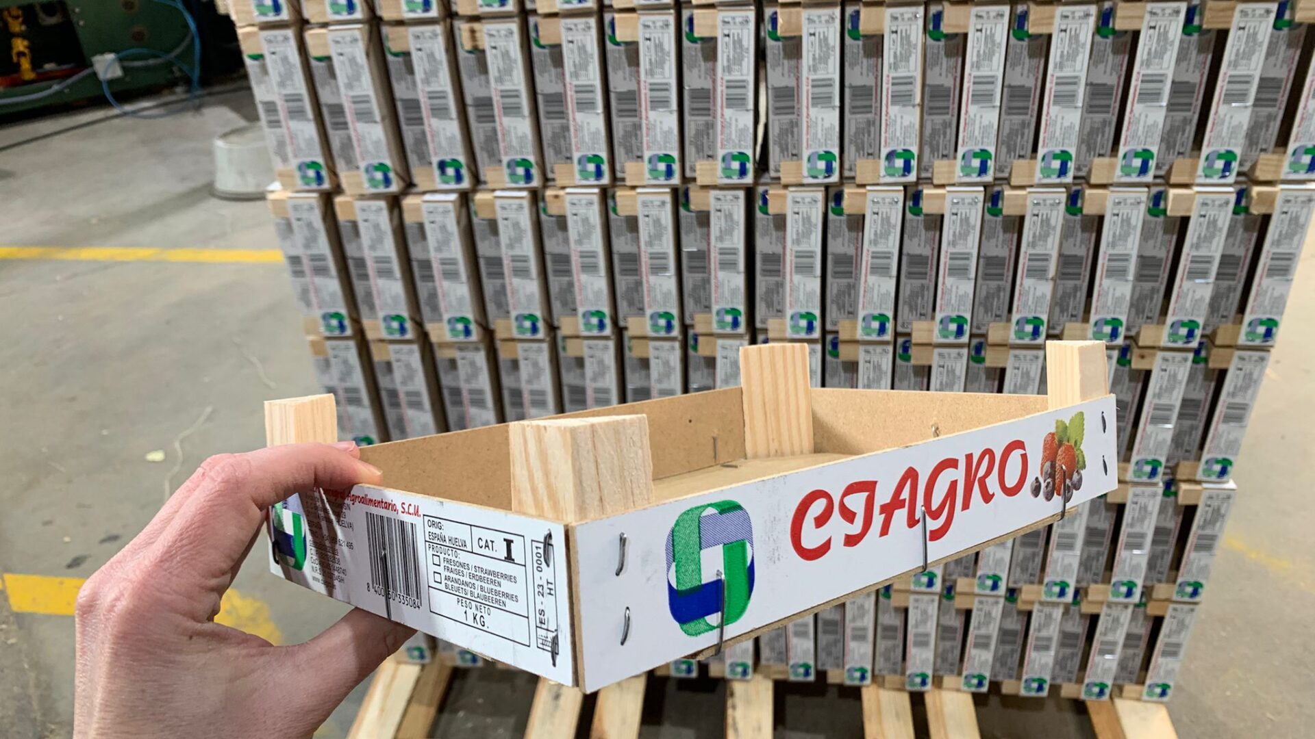 WhatsApp Image 2025-11-28 at 12.40.44