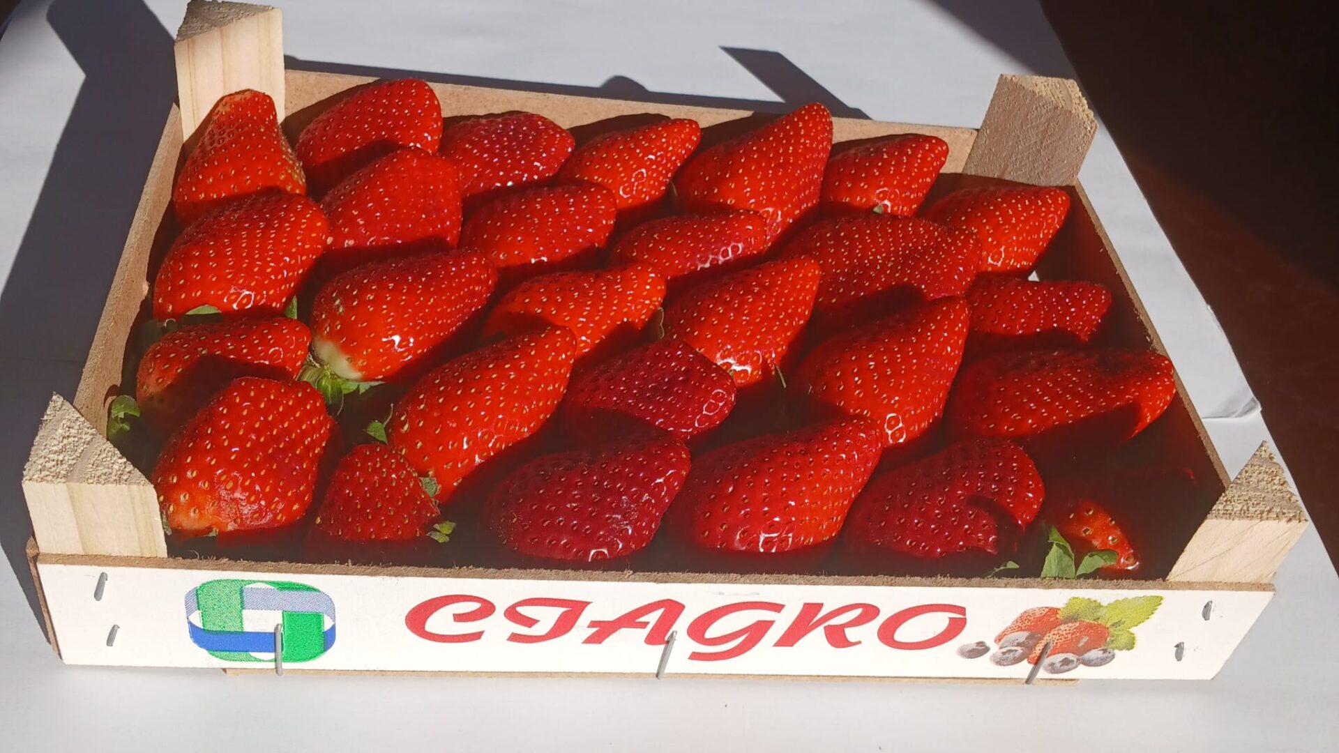 WhatsApp Image 2025-11-28 at 12.40.44 (2)