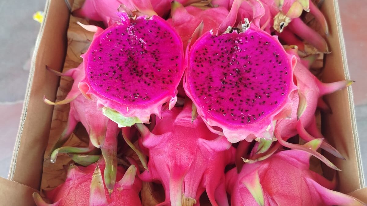 WhatsApp Image 2025-11-28 at 12.40.44 (3)