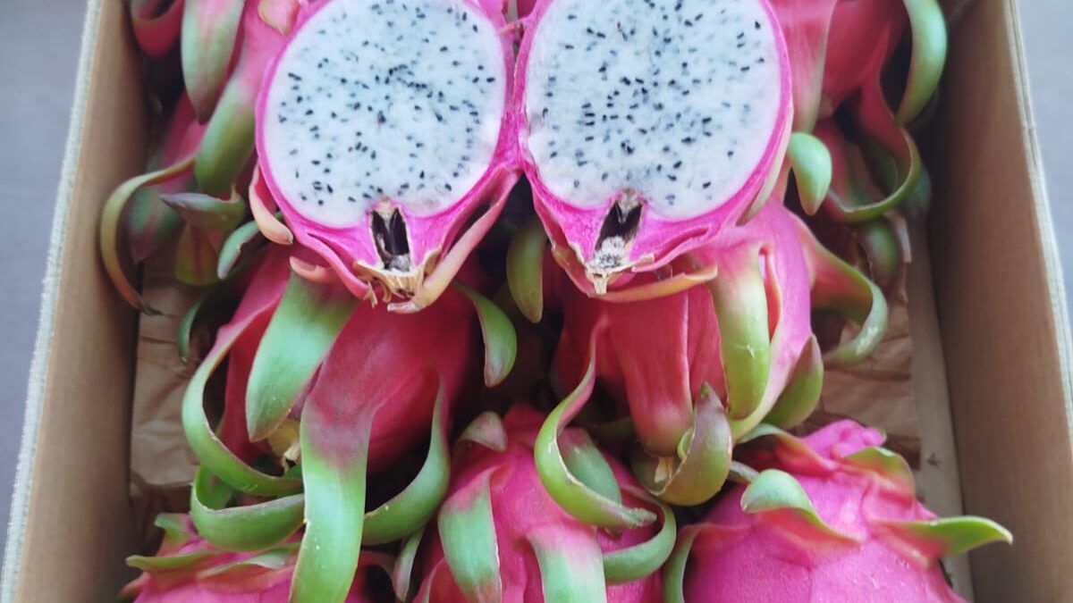 WhatsApp Image 2025-11-28 at 12.40.44 (4)