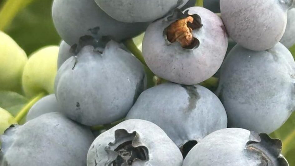 WhatsApp Image 2025-11-28 at 12.40.44 (5)