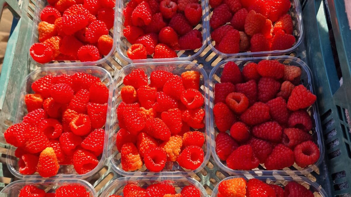 WhatsApp Image 2025-11-28 at 12.40.44 (6)